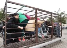 Целую неделю люди будут круглосуточно сидеть в клетке напротив Сейма