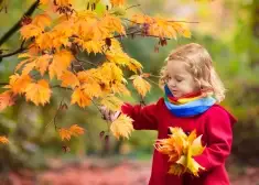 Осень готовит сюрприз: какую погоду принесет начало ноября