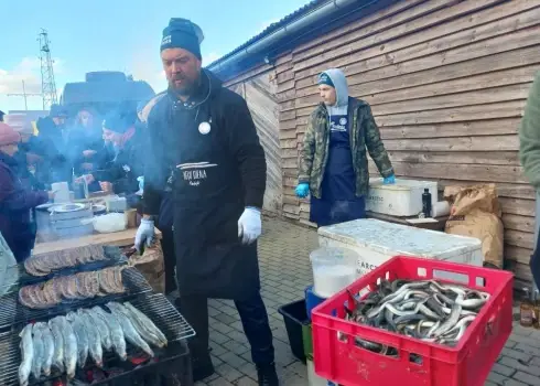 День миноги в Павилосте (15.11.25)