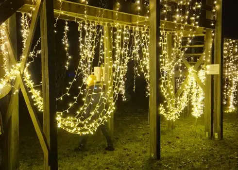 Сиреневый сад в Добеле превратился в зимнюю сказку (2025)