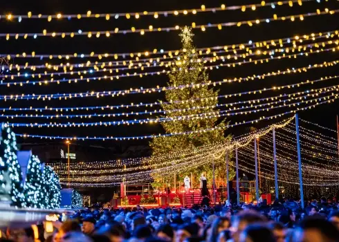 Рождественская елка в Вильнюсе (2025)