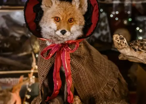 Зимний фестиваль в Пакруойской усадьбе (2025)