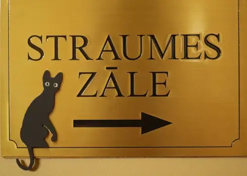 В кинотеатре Splendid Palace открылся зал Straume