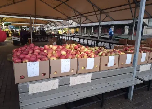 Зимой за фруктами на Центральный рынок в Риге (декабрь 2025)