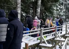 Многие в Латвии не знают о бесплатной помощи от государства: Минюст напомнил о своих возможностях