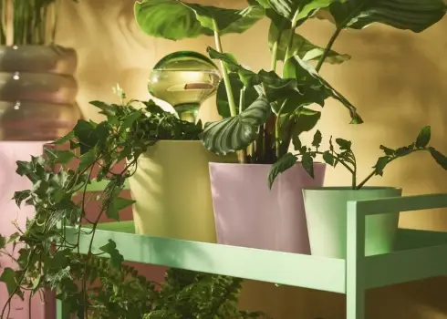 Как интегрировать весеннюю рассаду в интерьер