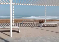 На Кипре царит паника: туристы массово покидают остров