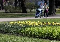 Синоптики сообщили, когда в Латвию придет по-настоящему весеннее тепло