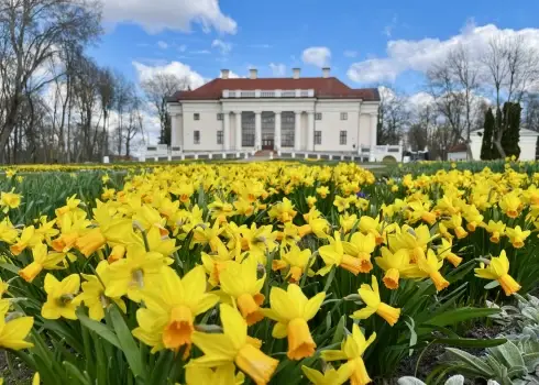 Фестиваль тюльпанов и весенних цветов в Пакруойской усадьбе (2026)