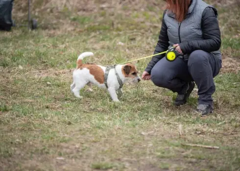 Большая толока на полуострове Грапью в Риге (25.04.2026)
